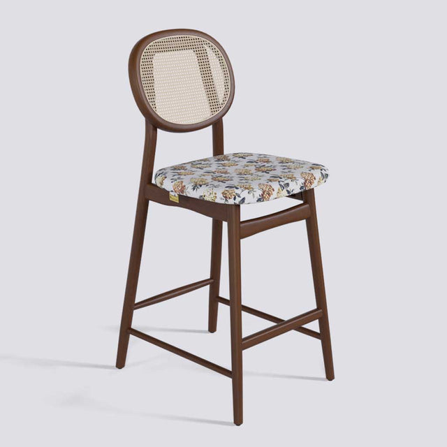 Fresco Bar Stool in Wooden Base With Cane (Printed) | 633