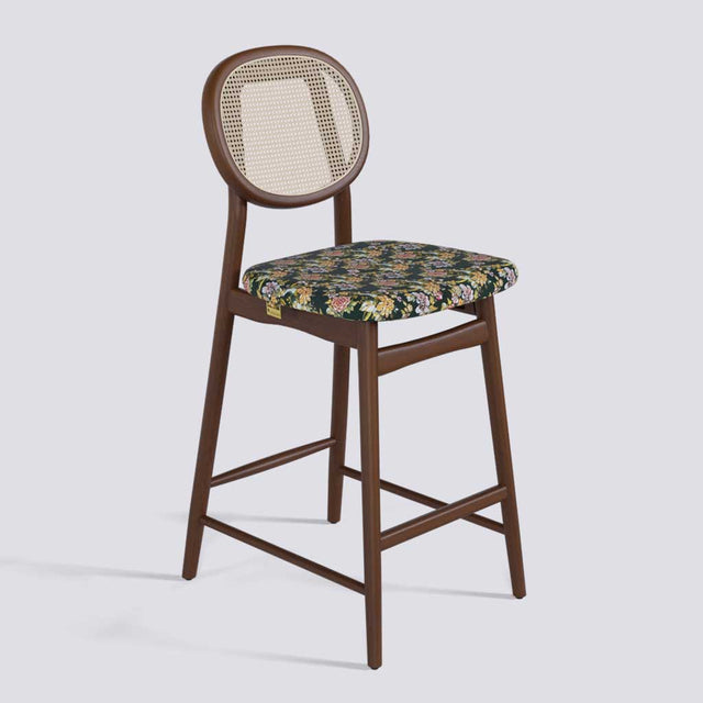 Fresco Bar Stool in Wooden Base With Cane (Printed) | 633