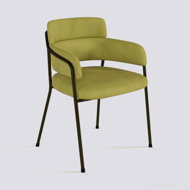 Plushy Lounge Chair In Powder Coated Metal Frame | 479