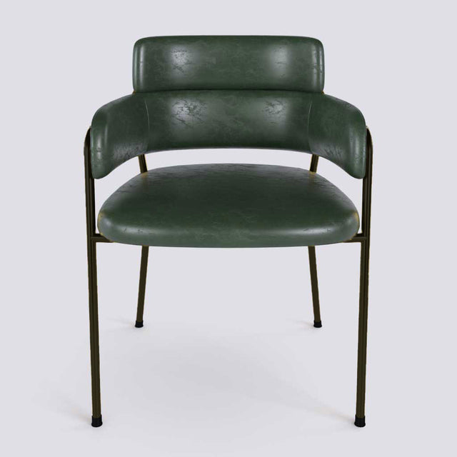Plushy Lounge Chair In Powder Coated Metal Frame | 479